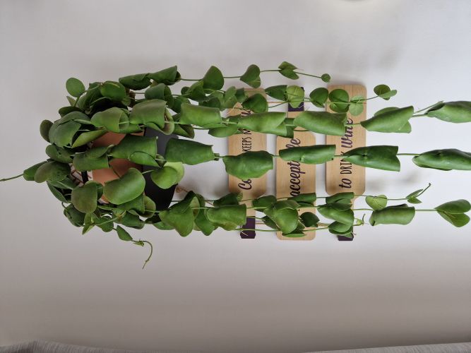 Łukasz, Gdańsk Łukasz, Gdańsk