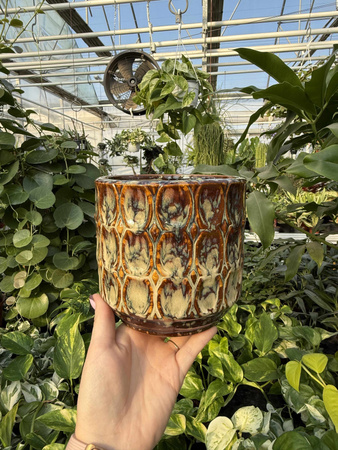 OSŁONKA VIVA CYLINDER BROWN P14