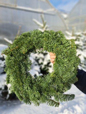 WIANEK NOBILIS 30 CM