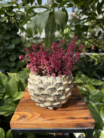 OSŁONKA CERAMICZNA SZYSZKA P10