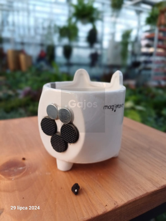 OSŁONKA MAGNESOWA ZWIERZACZKI BIAŁE P7