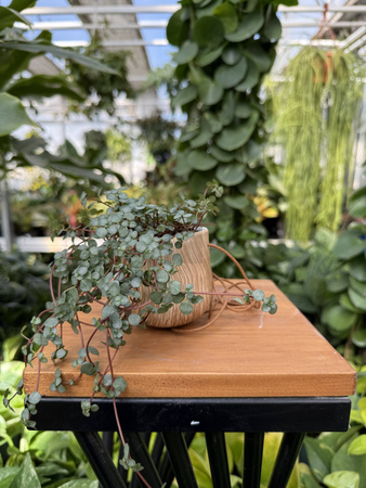 OSŁONKA WISZĄCA P6