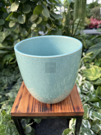 OSŁONKA PACIFIC MIĘTA P16