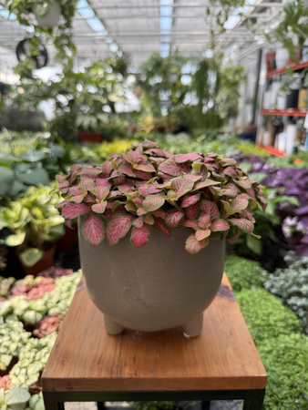 OSŁONKA CERAMICZNA SZARA NA NÓŻKACH P13