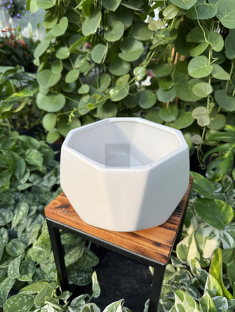 OSŁONKA DIAMENT MISA BIAŁA