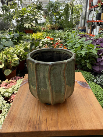 OSŁONKA CERAMICZNA KAKTUS ŚREDNI P9