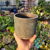 OSŁONKA HERBATKOWY BETON P14