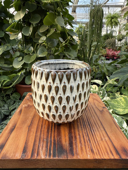 OSŁONKA BOHEME BIEL P9