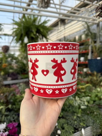 OSŁONKA X-MAS RENIFEREK