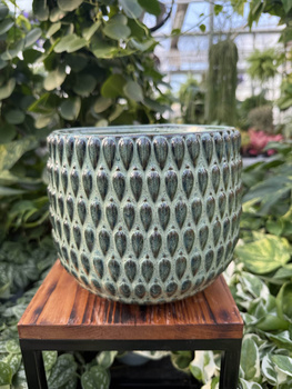 OSŁONKA BOHEME MIĘTA P16