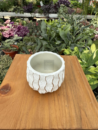 OSŁONKA CERAMICZNA WAVE CREAM/GOLD P6