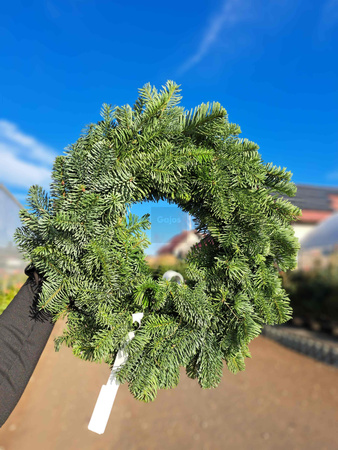 WIANEK NOBILIS 30 CM