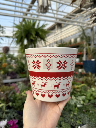 OSŁONKA X-MAS SWETEREK