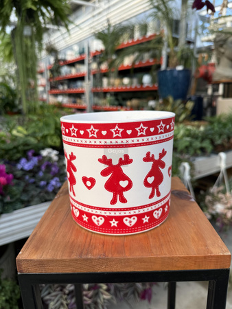 OSŁONKA X-MAS RENIFEREK