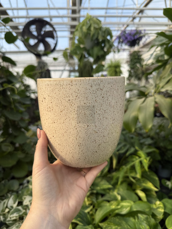 OSŁONKA PACIFIC KREM P13