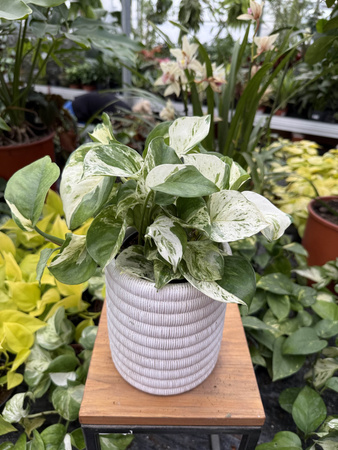 DONICA CERAMICZNA WALEC BOHO BIAŁE P12