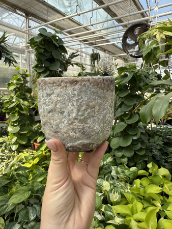 OSŁONKA SILA EGG POT GREY P8