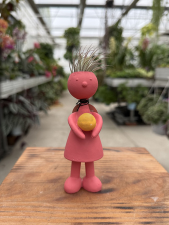 TILLANDSIA SCHOOL KIDS P1