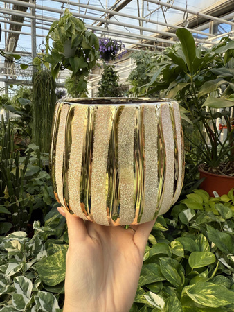 OSŁONKA GLITTER GOLD P11