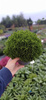 HEBE GREENGLOBE ZESTAW 6 SZTUK