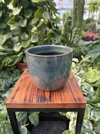 OSŁONKA PACIFIC GRANAT P12