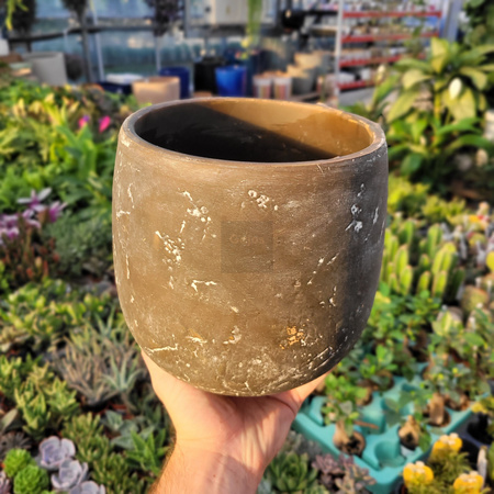 OSŁONKA AMBER P24