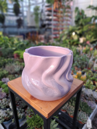 OSŁONKA  LILAC P14