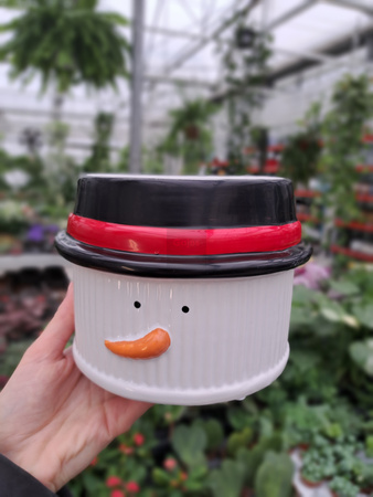 OSŁONKA PAN BAŁWAN 