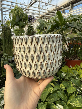 OSŁONKA BOHEME BIEL P12