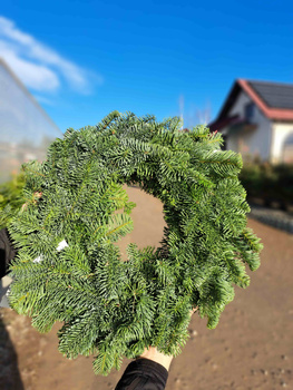 WIANEK NOBILIS 30 CM