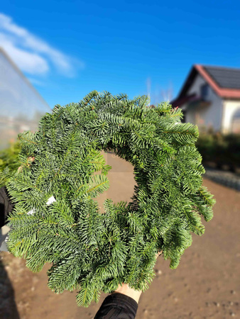 WIANEK NOBILIS 30 CM