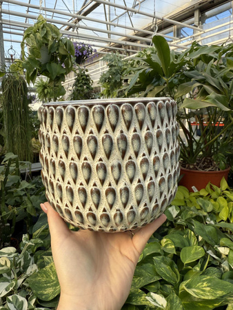 OSŁONKA BOHEME BIEL P14