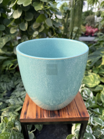 OSŁONKA PACIFIC MIĘTA P18