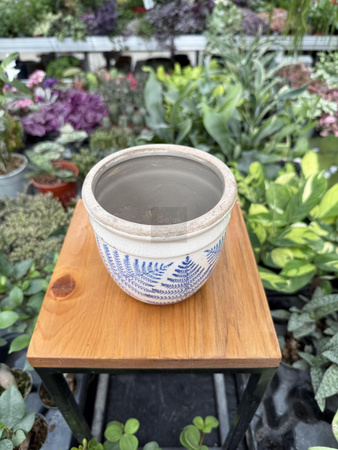 OSŁONKA CERAMICZNA PAPROĆ P10