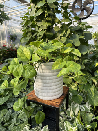 DONICA CERAMICZNA WALEC BOHO BIAŁY P18