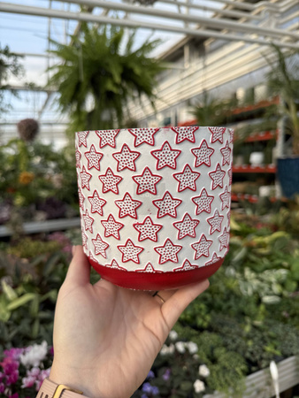 OSŁONKA  X-MAS GWIAZDKI