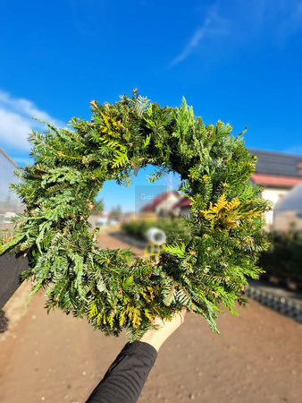 WIANEK MIESZANY JODŁA + CYPRYS 50 CM