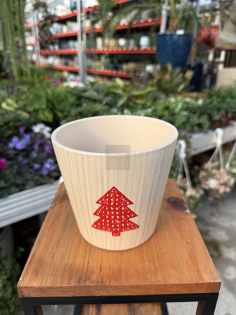 OSŁONKA CHOINKA  P14