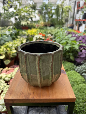 OSŁONKA CERAMICZNA KAKTUS DUŻY P12