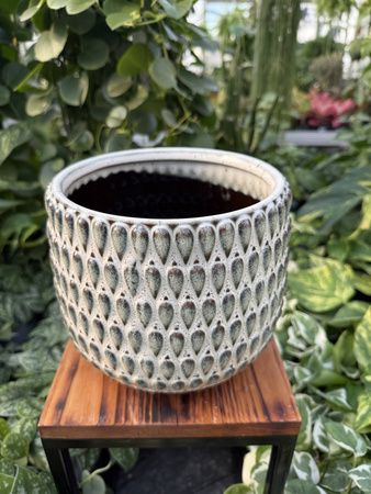 OSŁONKA BOHEME BIEL P16