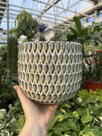 OSŁONKA BOHEME BIEL P16