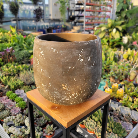 OSŁONKA AMBER P24