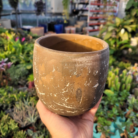 OSŁONKA AMBER P15
