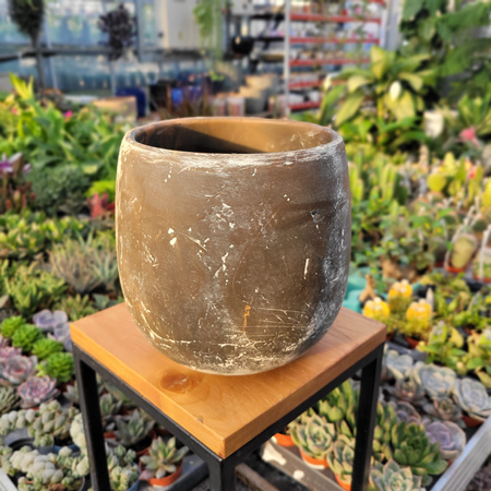 OSŁONKA AMBER P18