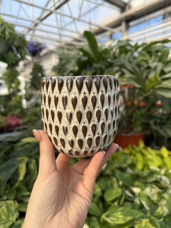 OSŁONKA BOHEME BIEL P9