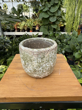 OSŁONKA SILA EGG POT GREEN P8