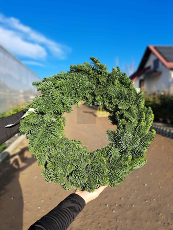 WIANEK NOBILIS 40 CM