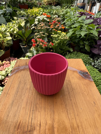 OSŁONKA RYFLOWANA MINI CIEMNY RÓŻ P6