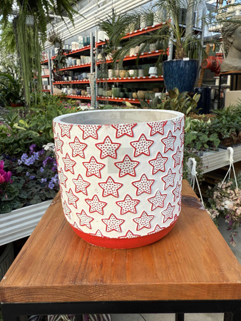 OSŁONKA  X-MAS GWIAZDKI