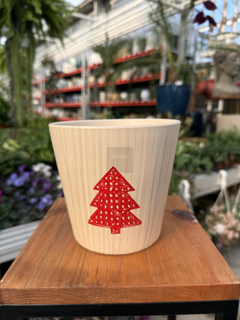 OSŁONKA CHOINKA  P14